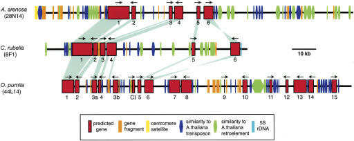 Figure 3.