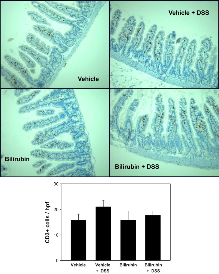 Fig. 9.