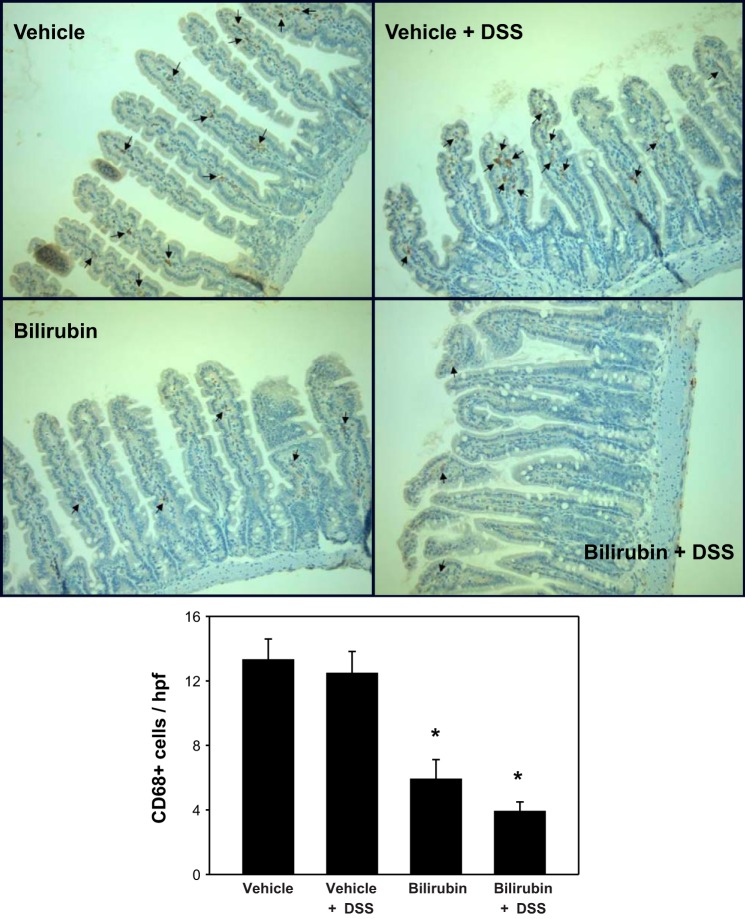 Fig. 10.