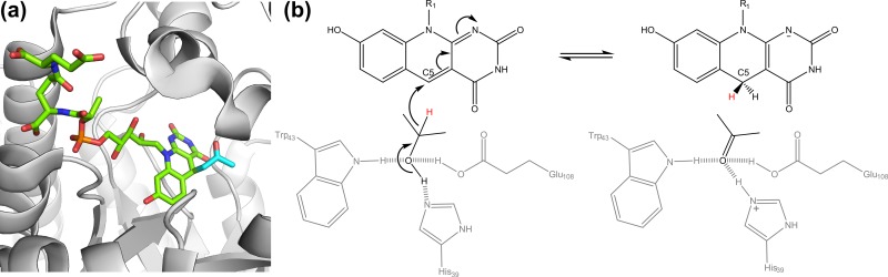 FIG 10