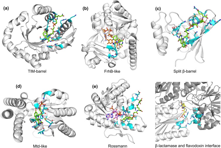 FIG 6