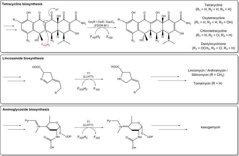 FIG 16