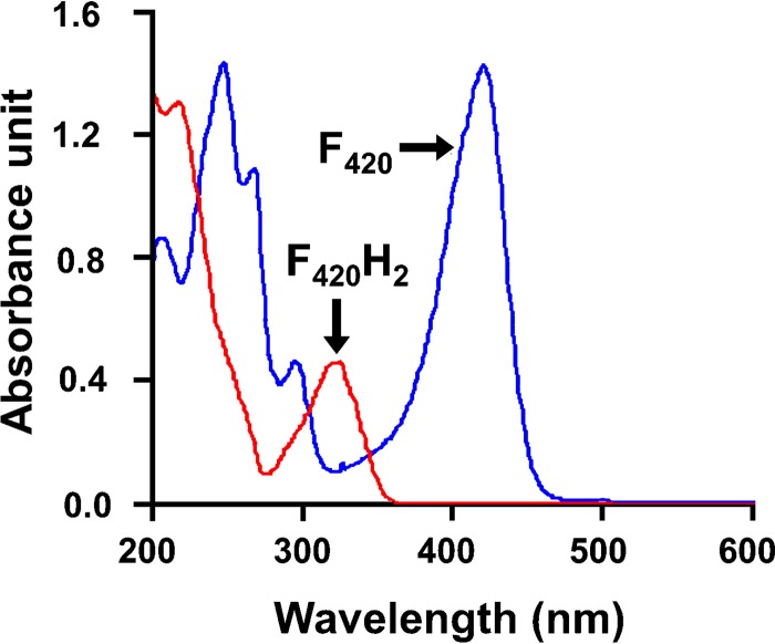 FIG 2