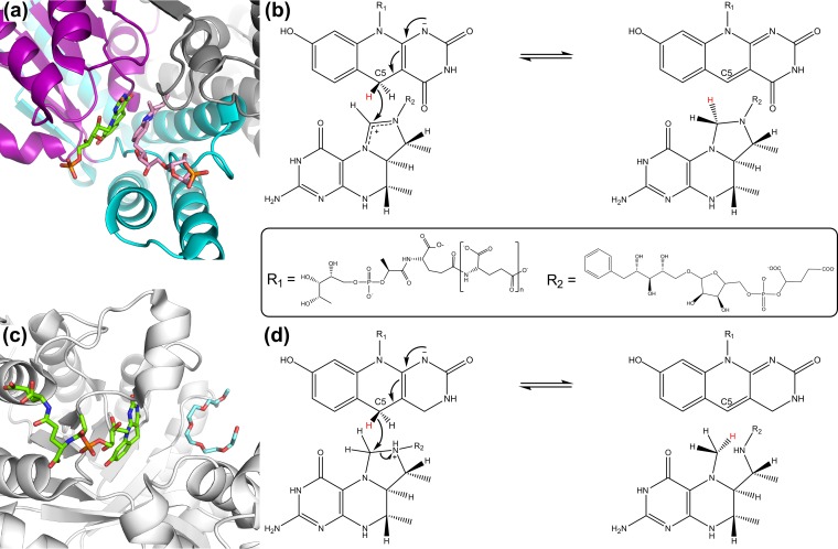 FIG 11