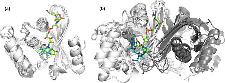 FIG 18