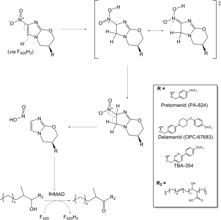 FIG 20