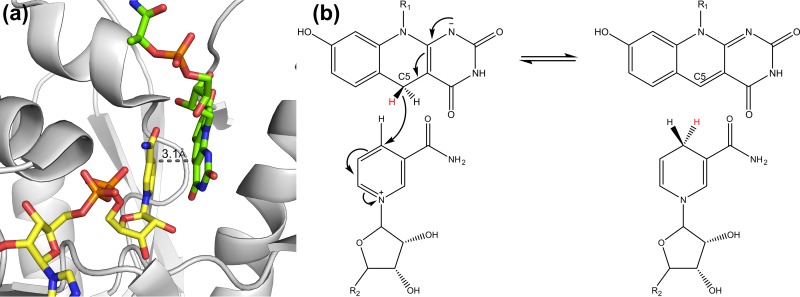 FIG 14