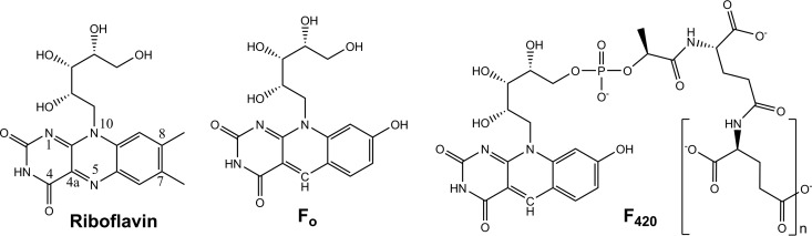 FIG 1