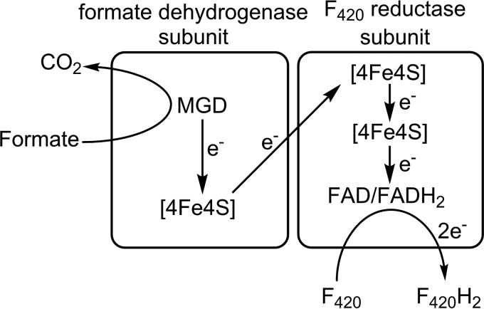 FIG 9