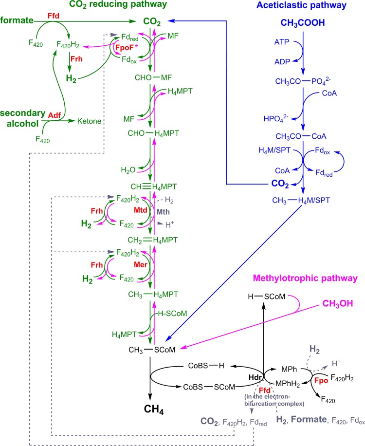 FIG 7