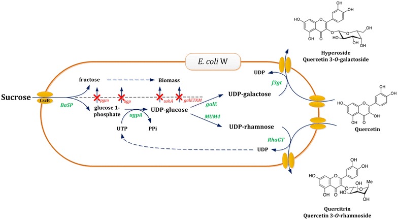 Fig. 1