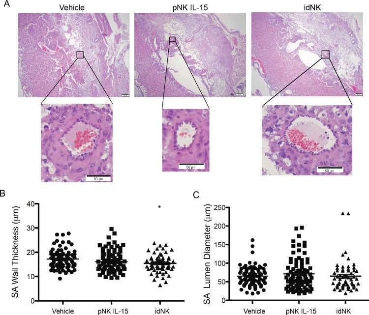 Fig 8