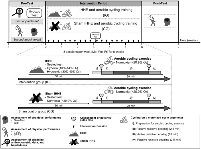 FIGURE 1