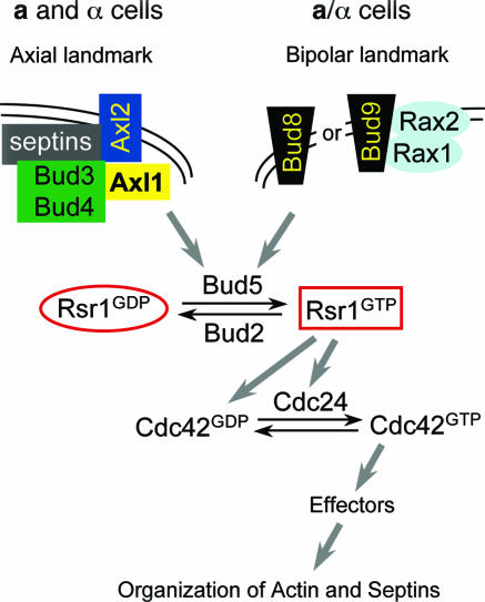 FIG. 6.