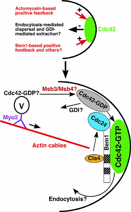 FIG. 4.