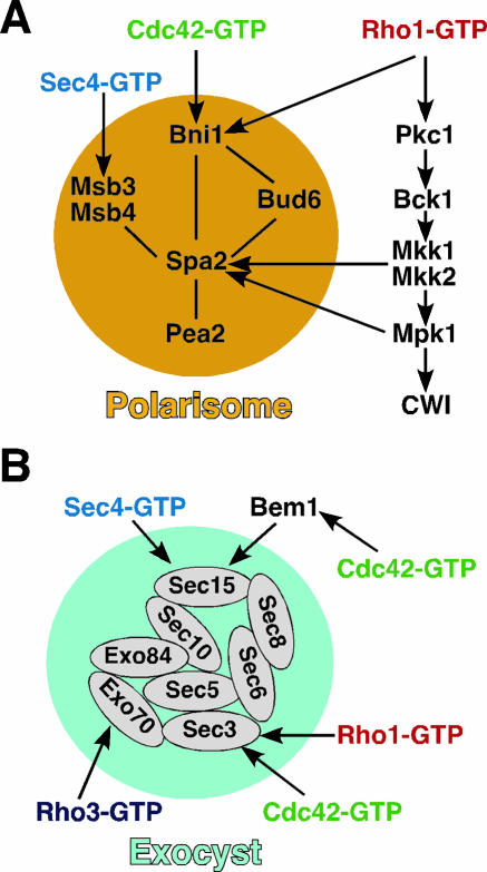 FIG. 17.