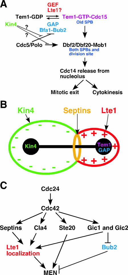 FIG. 12.