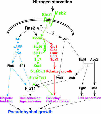 FIG. 14.