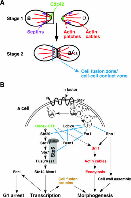 FIG. 13.