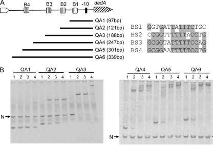 Fig. 5.