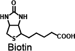 graphic file with name fchem-09-736519-fx3.jpg