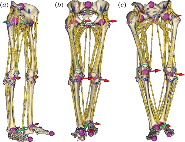 Figure 6.