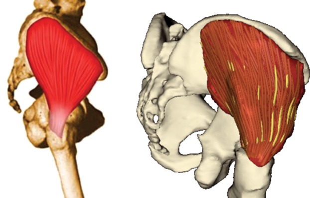 Figure 10.