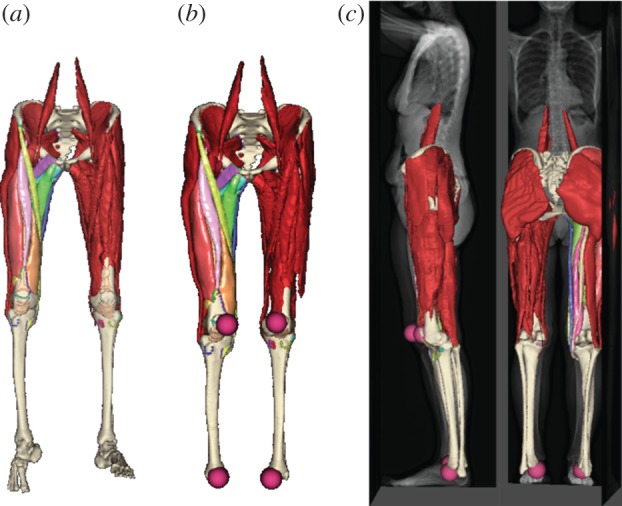 Figure 5.