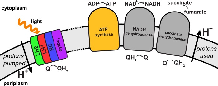 Figure 5.