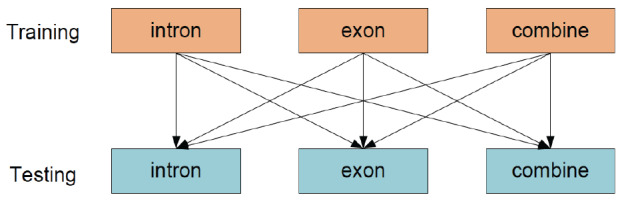 Fig. (2)