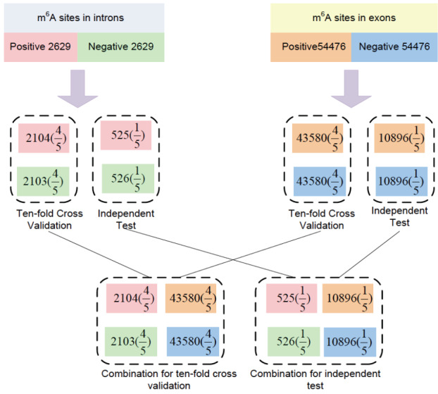 Fig. (1)