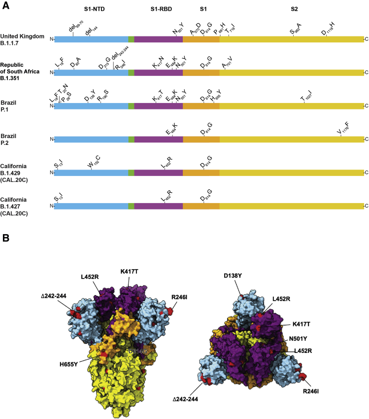 Figure 1