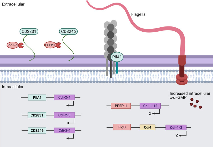 Fig 2