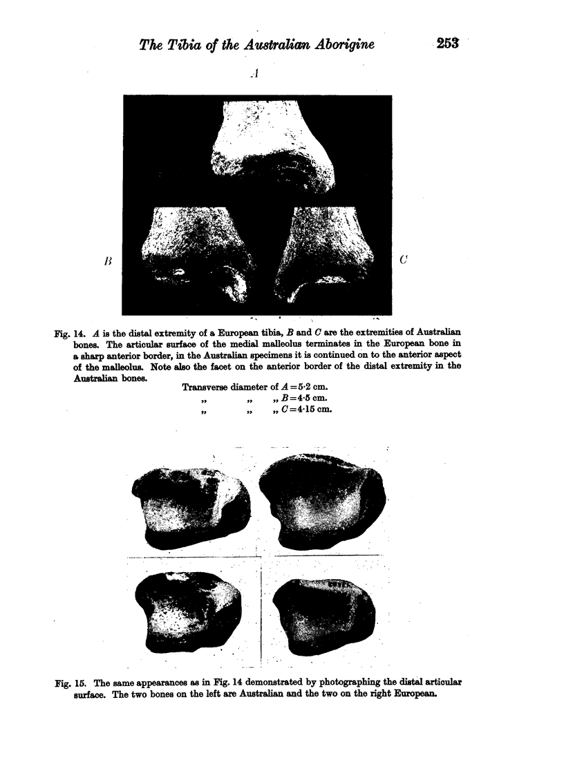253