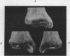 253