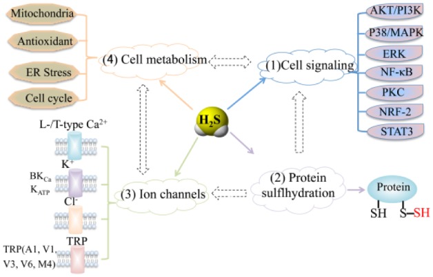 Figure 3.