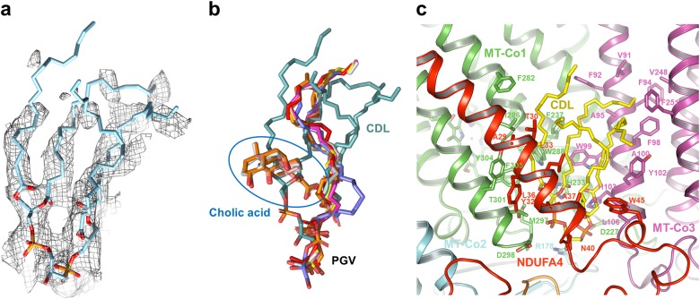 Fig. 4