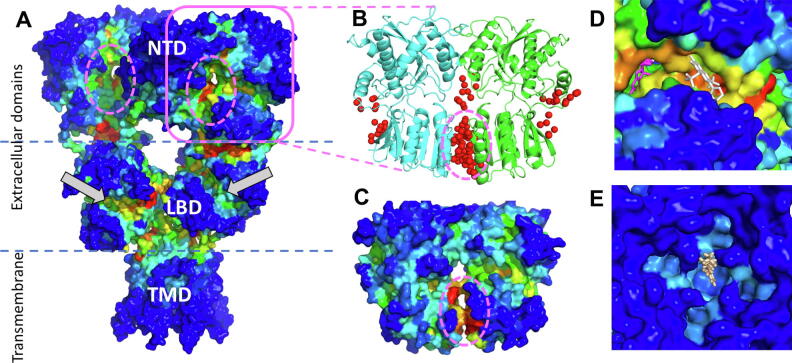 Fig. 7