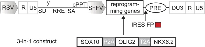 Fig. S14.