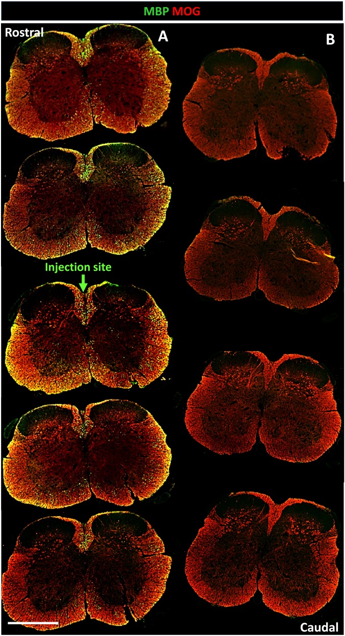 Fig. S12.