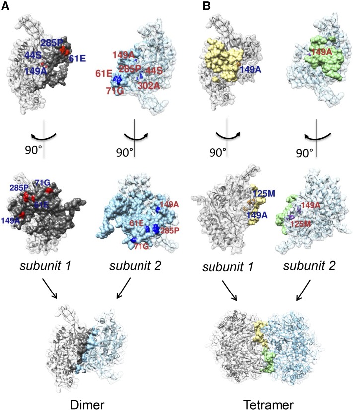 Figure 5.