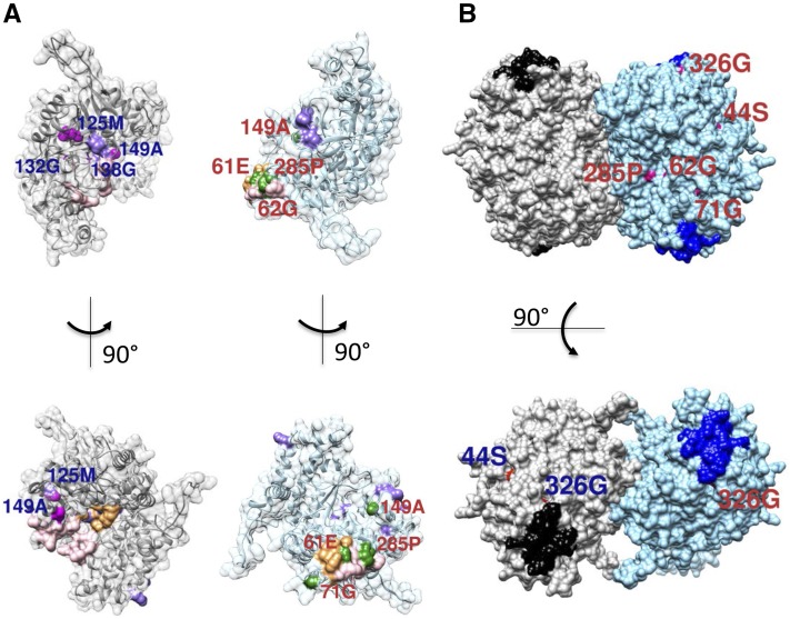 Figure 6.