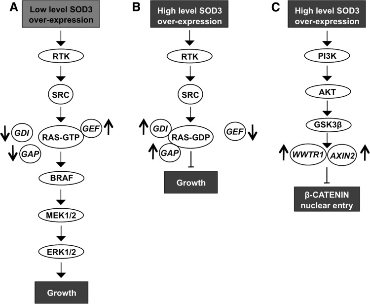 FIG. 7.