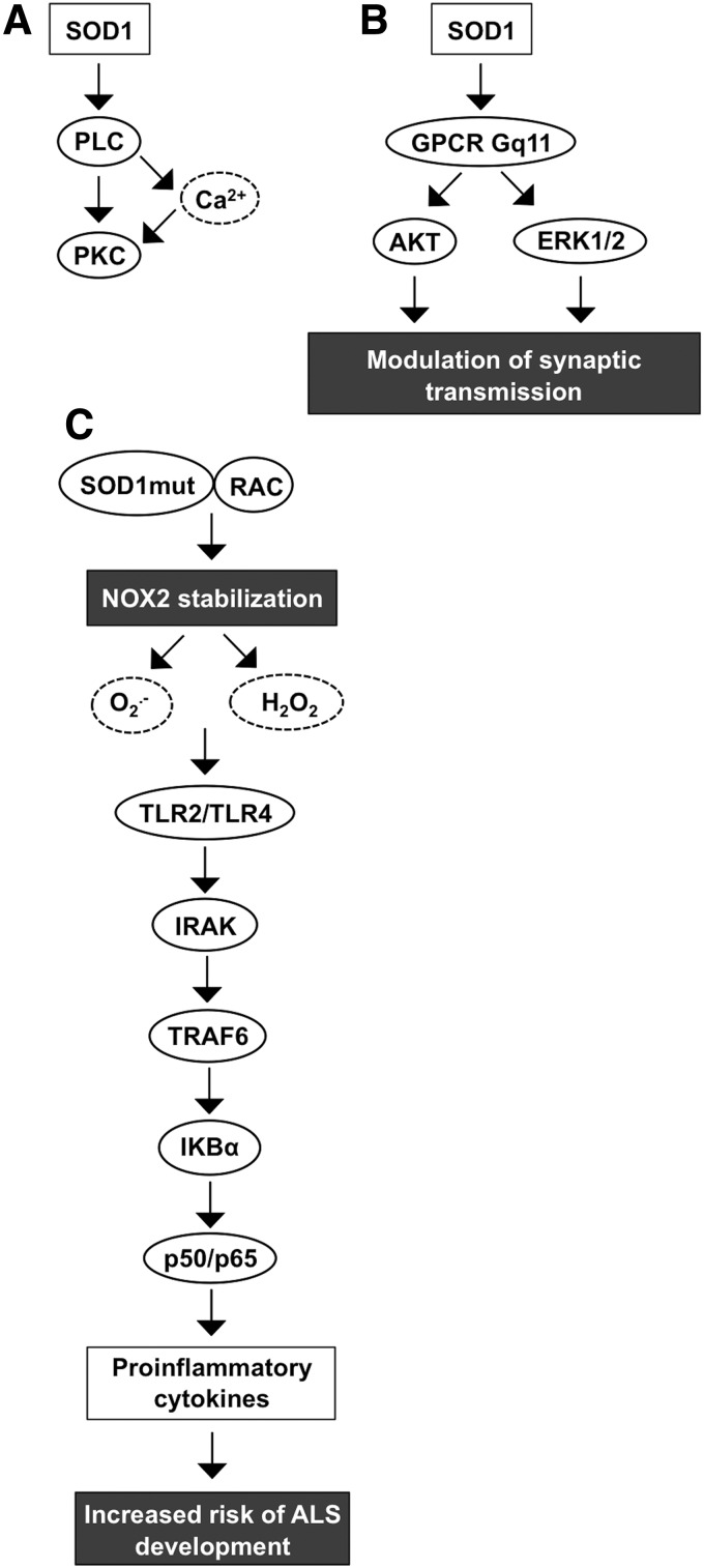 FIG. 5.