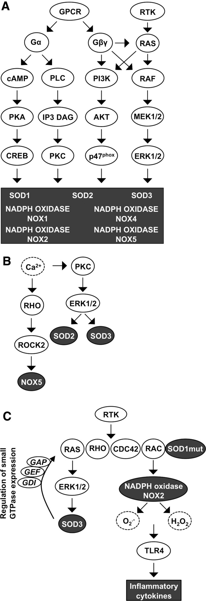 FIG. 8.