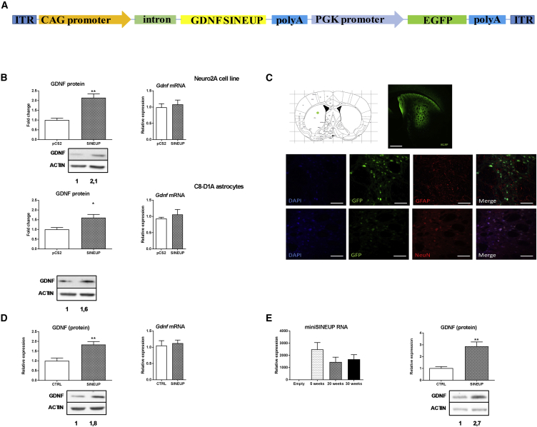 Figure 2