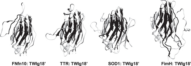 Fig. 7