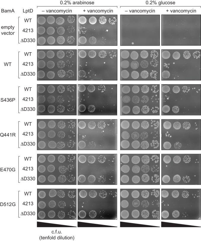 Figure 7—figure supplement 2.