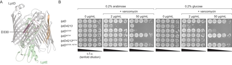 Figure 7—figure supplement 1.