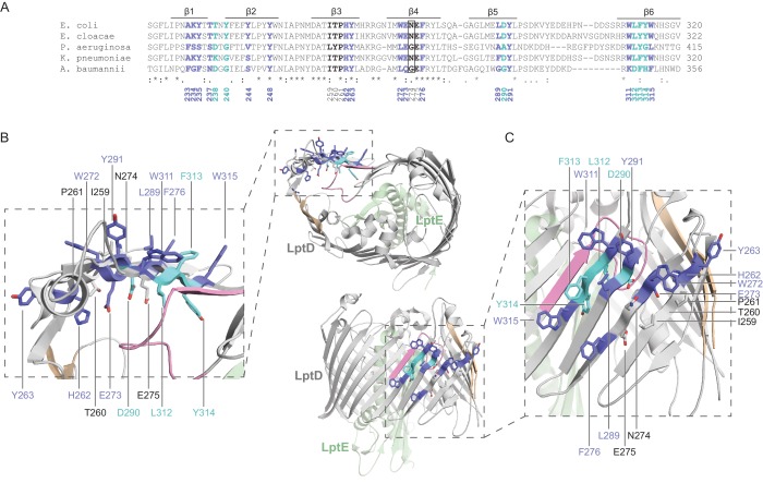 Figure 4—figure supplement 2.